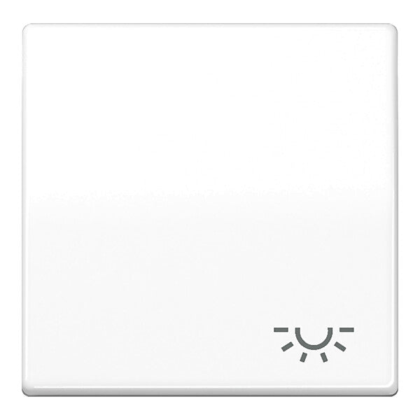 JUNG Wippe Symbol LICHT aws für Taster AS 591 L WW